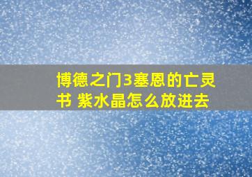 博德之门3塞恩的亡灵书 紫水晶怎么放进去